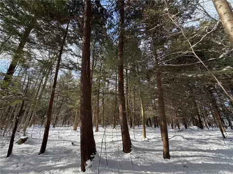 Carpenter Road, Evans, NY 14006 photo 15