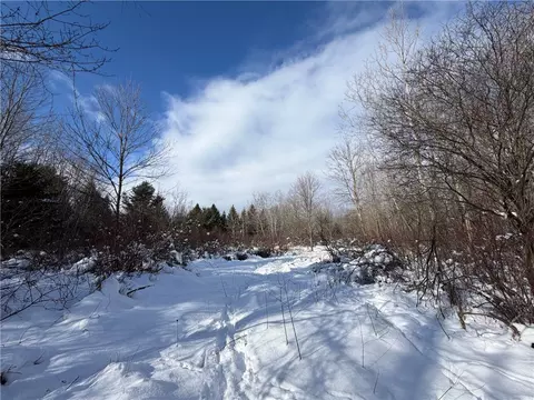 Carpenter Road, Evans, NY 14006 photo 22