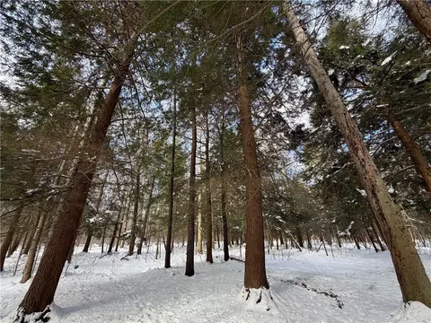 Carpenter Road, Evans, NY 14006 photo 11