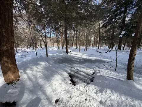 Carpenter Road, Evans, NY 14006 photo 16