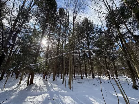 Carpenter Road, Evans, NY 14006 photo 17