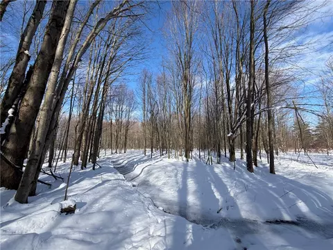Carpenter Road, Evans, NY 14006 photo 19