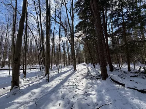 Carpenter Road, Evans, NY 14006 photo 18