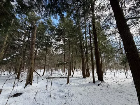 Carpenter Road, Evans, NY 14006 photo 13