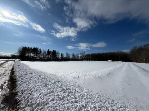 Carpenter Road, Evans, NY 14006 photo 4