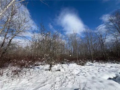 Carpenter Road, Evans, NY 14006 photo 21