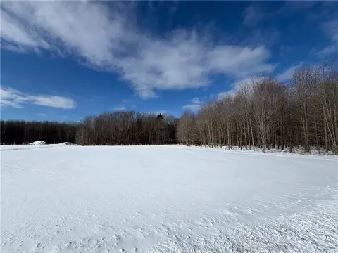 Carpenter Road, Evans, NY 14006 photo 2