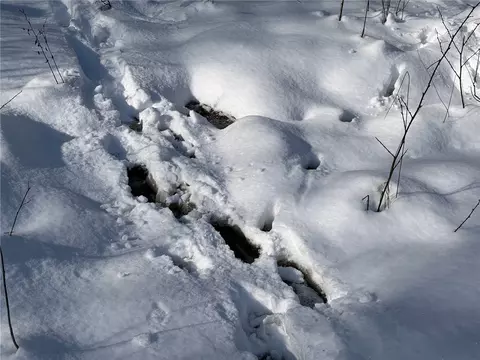 Carpenter Road, Evans, NY 14006 photo 20