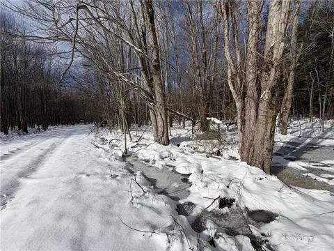 Carpenter Road, Evans, NY 14006 photo 9