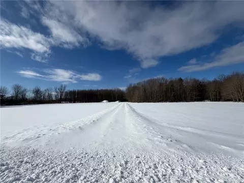 Carpenter Road, Evans, NY 14006 photo 3