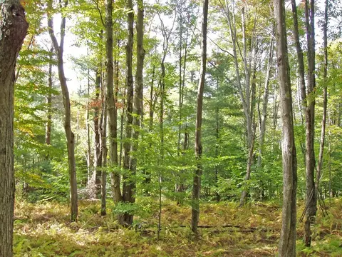 lot Apt 28 Timberland Dr, Andes, NY 13731