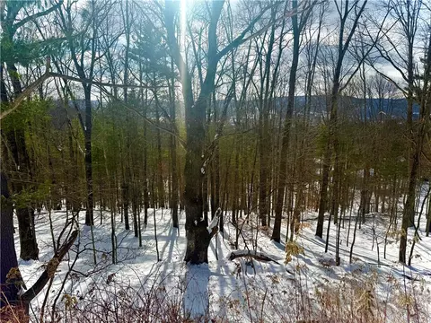 18 Carson Rd, Oneonta, NY 13820 photo 10