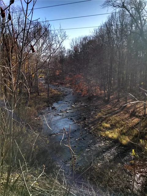 6240 Pheasants Xing, Farmington, NY 14425