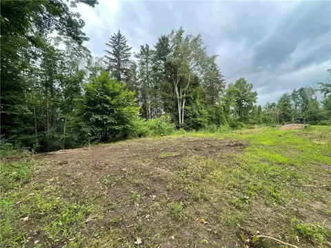 0 Co Road 6 #LOT 1, Phelps, NY 14532