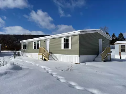 17 Liberty Dr, Moravia, NY 13118