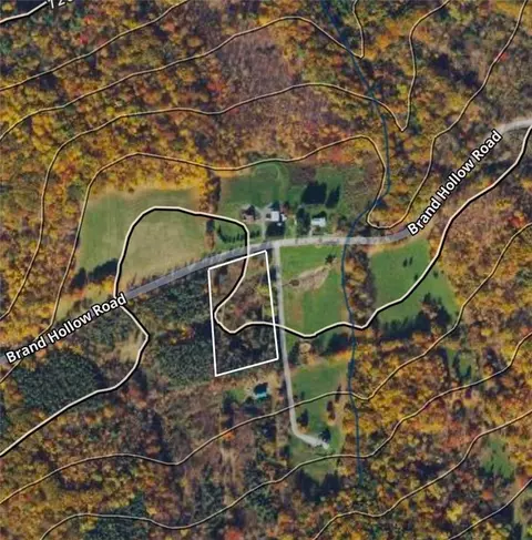 345 Brand Hollow Rd, Durham, NY 12422