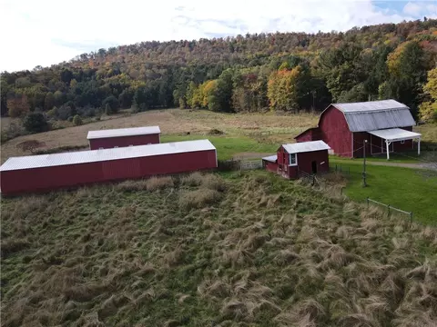 1009 Barbertown Rd, Ceres, PA 16731 photo 3