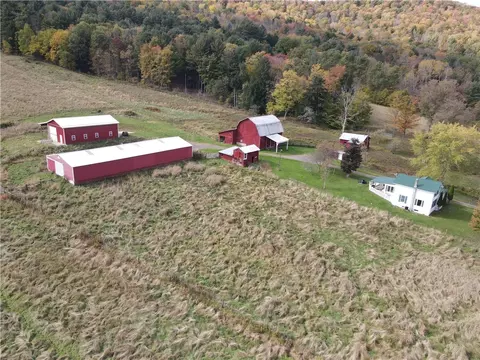 1009 Barbertown Rd, Ceres, PA 16731 photo 2