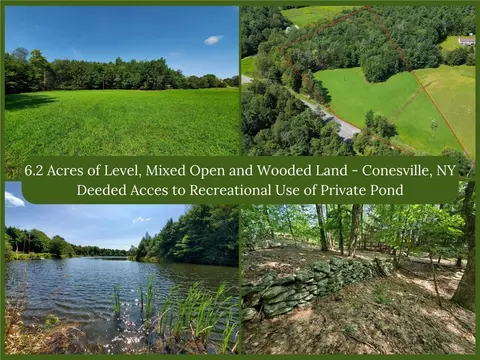 lot10 Bull Hill Rd, Conesville, NY 12076