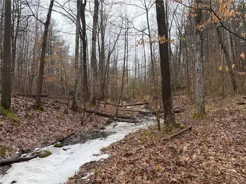Lakemont Himrod Road, Starkey, NY 14837