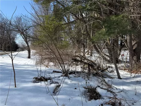 0 Rt-39, Eagle, NY 14024 photo 9
