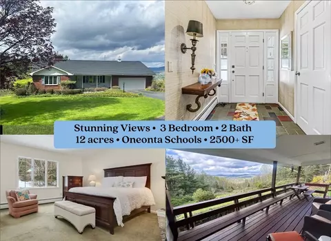 260 State Highway 28, Oneonta, NY 13820