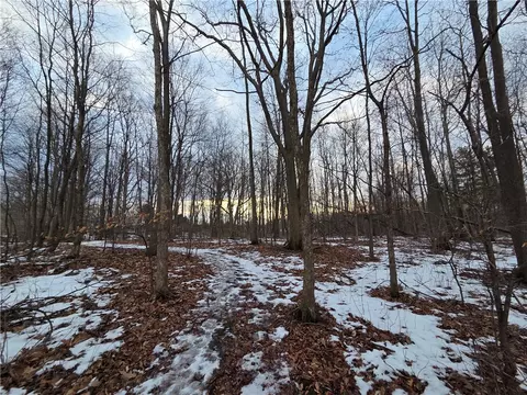 Other - Sutton Road, Jerusalem, NY 14527 photo 24 of 46