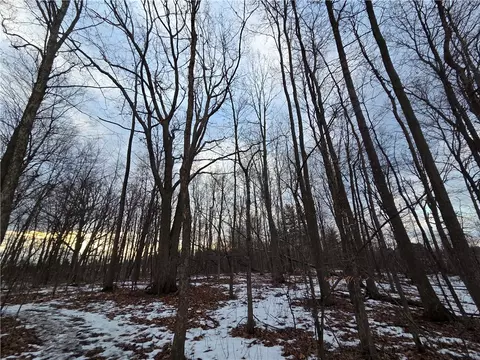 Other - Sutton Road, Jerusalem, NY 14527 photo 26 of 46