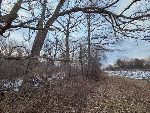 Other - Sutton Road, Jerusalem, NY 14527 photo 19 of 46