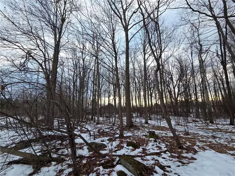 Other - Sutton Road, Jerusalem, NY 14527 photo 28 of 46