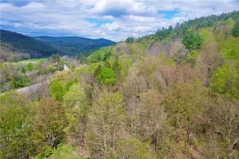 Undisclosed, Lexington, NY 12492