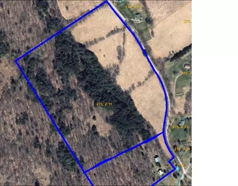 Budine Hill Road, Walton, NY 13856