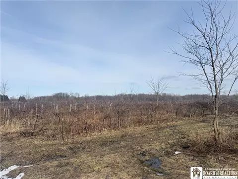 North Rd E, Pomfret, NY 14063 photo 3