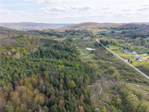 00 County Route 13, Bath, NY 14810 photo 6
