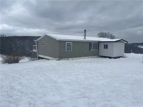 335 Cooper Hill Rd, Van Etten, NY 14889