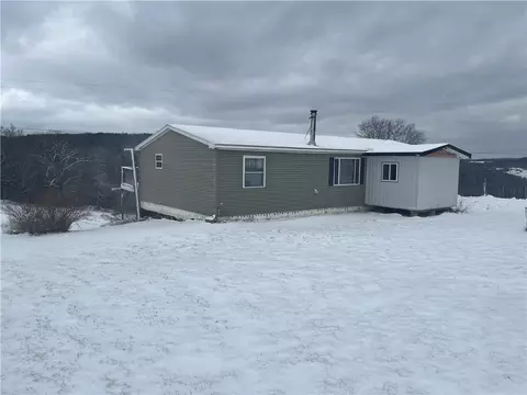 335 Cooper Hill Rd, Van Etten, NY 14889
