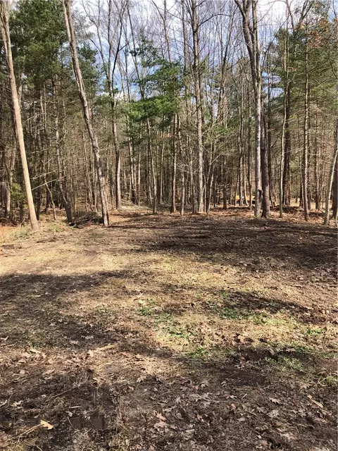 Maple Drive, Milford, NY 13820