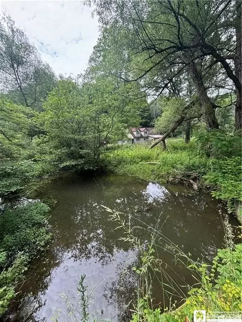 2045 Baxter Mills Rd, Ischua, NY 14743
