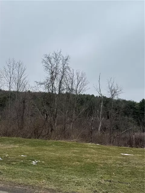 186 Diamond Valley Rd, Tioga, NY 13734