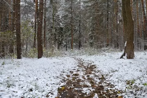 0 Spring Rd S, Ossian, NY 14437