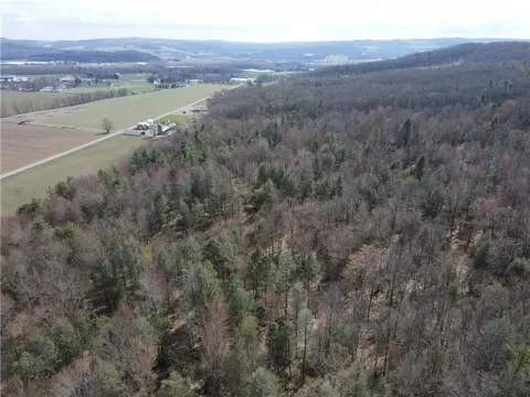 Buffalo Street, Wayland, NY 14572