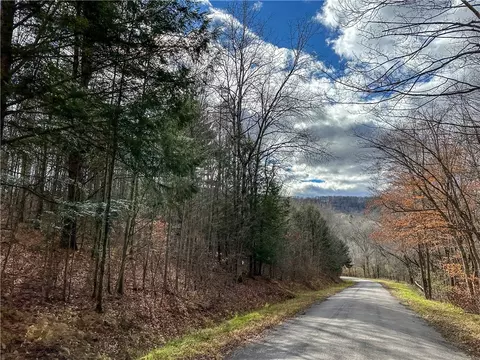 Trapping Brook Road, Wellsville, NY 14895