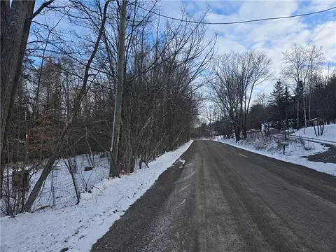 7101 Boot Jack Rd, Bath, NY 14810 photo 3