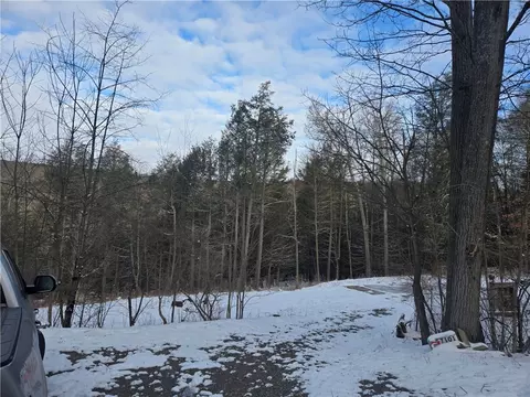 7101 Boot Jack Rd, Bath, NY 14810 photo 2