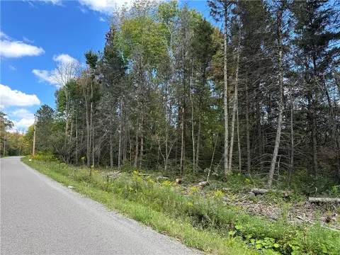 lot9 Mcandrews Rd, Alfred, NY 14806