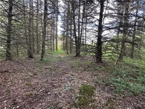lot7 Mcandrews Rd, Alfred, NY 14806