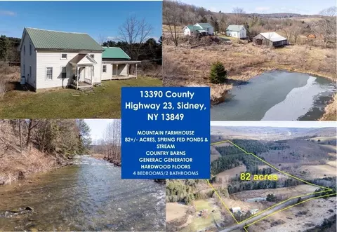 13390 County Highway 23, Sidney Center, NY 13839
