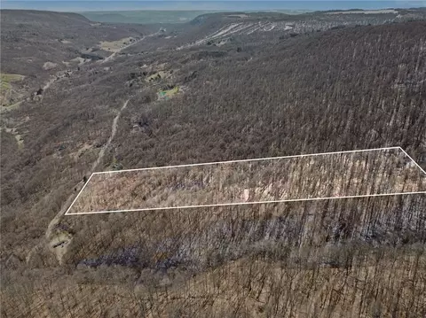 7420 Feather St, Springwater, NY 14512