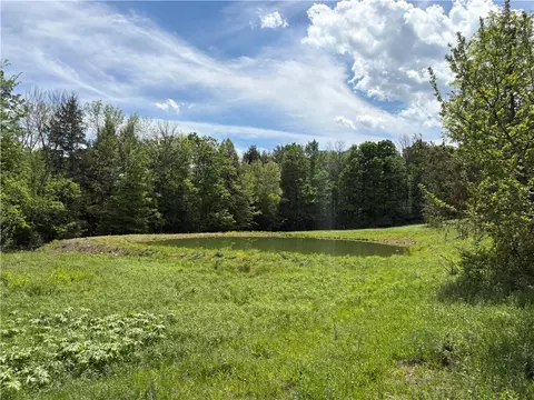 County Road 46 Lower Ravine Road, Norwich, NY 13815