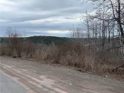 Mary Lynne Lane, Guilford, NY 13780